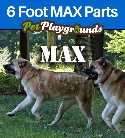 6 Foot MAX