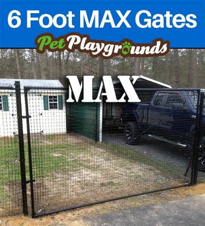6 Foot MAX Gates