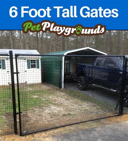6 Foot Gates